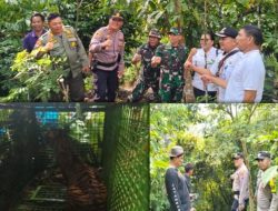 Tim Gabungan Penanganan Satwa Liar Disuoh Berhasil Menangkap Harimau diperkirakan pemangsa manusia