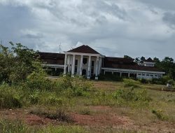 Gedung Kantor Bupati Satu Pintu Boven Digoel Terbengkalai, Pegiat Anti Korupsi Angkat Bicara