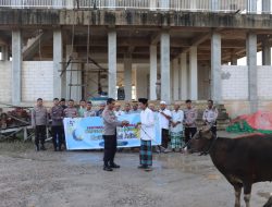 Dalam Rangka Hari Raya Idul Adha 1445 H, Polres Boven Digoel, Serahkan Hewan Korban di Masjid Darul Hidayah