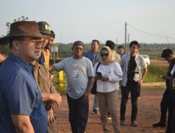 Dorong Wisata Bahari, Bangka Belitung Bidik Pasar Kapal Pesiar Internasional