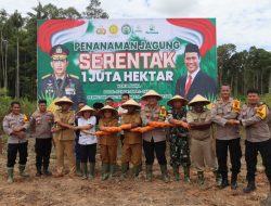 Kolaborasi Polri, TNI, dan Pemerintah, Polres Boven Digoel Tanam Jagung Se1 Juta Hektar 