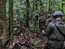 Kapolda Papua Barat Pimpin Penyisiran Hutan dan Rawa Cari Iptu Tomi Marbun