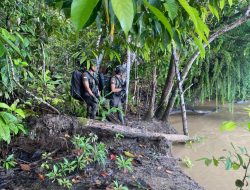 SAR Korps Brimob Polri Tantang Medan Ekstrem, Cari Iptu Tomi di Moskona Barat