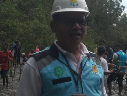 Jaga Ekosistem Laut, 1.000 Mangrove Ditanam di Kampung Saubeba