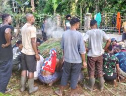 Bakar Batu Jadi Simbol Syukur Mahasiswa Pegunungan Tengah di Manokwari