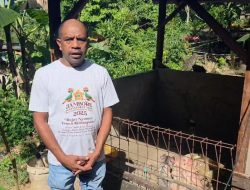 LMA Kaiso Ucapkan Terima Kasih kepada Presiden Prabowo atas Bantuan Usaha Ternak Babi