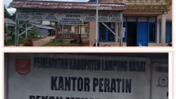 Pengelolaan Dana Desa Pekon Mekar sari Disorot, Inspektorat dan APH Diminta Audit Anggaran 2025