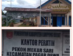 Pengelolaan Dana Desa Pekon Mekar sari Disorot, Inspektorat dan APH Diminta Audit Anggaran 2025